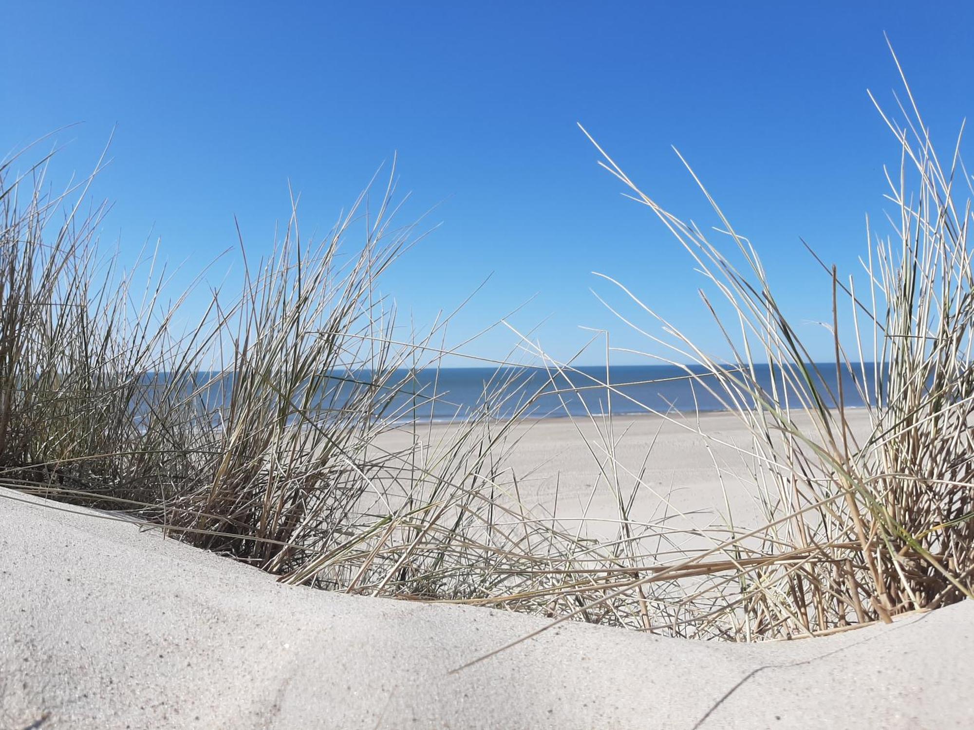 Apartmán Stilbjerg Varde Pokoj fotografie